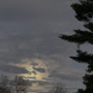 Meet your Posher, Nadia